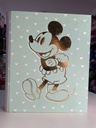 Carpetas mickey A4 mooving