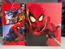 Cuaderno tapa dura 19 x 24 spiderman