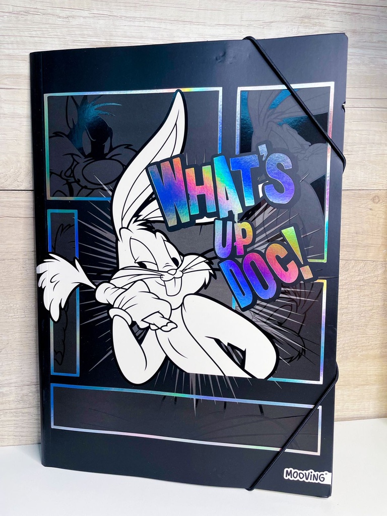 Carpeta dibujo looney tunes