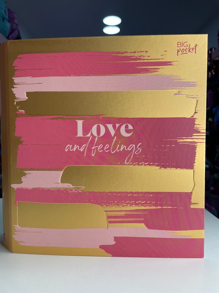 Carpeta love and feelings ppr