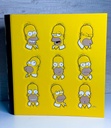 Carpeta simpsons N° mooving