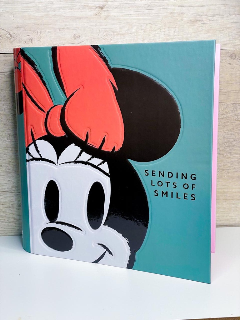 Carpeta 30x40 minnie celeste