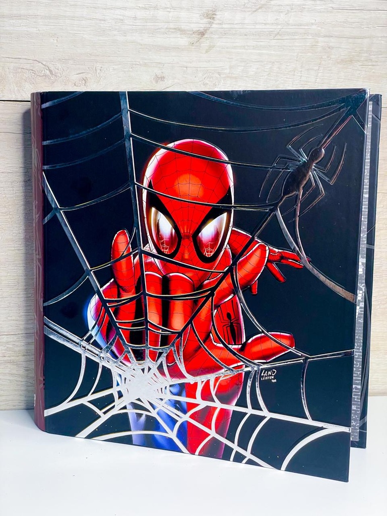 Carpeta 30x40 spiderman