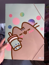 Carpeta elastica pusheen