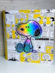 Carpeta snoopy N°3